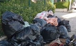 Ortada kalan çöpler çirkin görüntü yarattı
