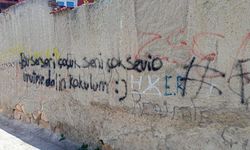 Vandallar yine iş başında: Şehrin estetiğini bozuyorlar