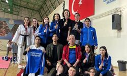 Emin adımlarla ilerliyorlar