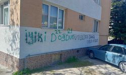 Eskişehir'de yine duvarlar vandalların yazı tahtasına döndü