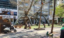 Eskişehir'de 205 yıllık doğal miras güvende!