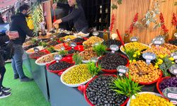 Hamamyolu’nda zeytin çeşitliliği dikkat çekti!