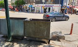 Konteyner var, çöp yanında!