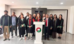"Gözaltı koşulları insan onuruna aykırı"