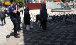 Eskişehir zabıtası güvercinlere yem satışını engelledi