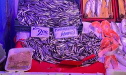 Hamside fiyat sabitlendi: Kilosu 200 lira