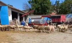Eskişehir'de korkutan yangın böyle çıkmış: İşte o anlar...