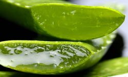 Aloe vera saç ve cilt bakımında nasıl kullanılır? Faydaları nelerdir?