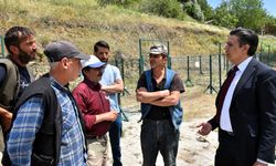 Söğüt’te hayvan pazarı daha sağlıklı ve düzenli olacak