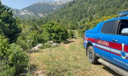 Antalya'da kayboldu, 300 kişilik ekip onu arıyor!