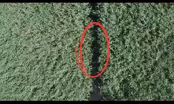 Sazlıkta kaybolan sülükçü dron yardımıyla kurtarıldı
