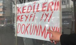 Eskişehir'de dükkana bırakılan kediler ve not tartışma yarattı!