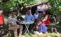 Bilecik'te 71 yıldır aynı yastığa baş koyuyorlar