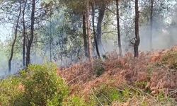 Adana İmamoğlu’nda orman yangını korkuttu