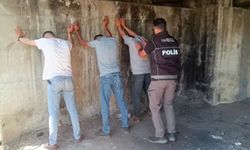 Adana'da zehir operasyonu!