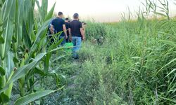 Sazlıklar arasında genç adam ölü bulundu