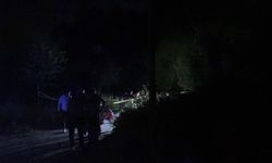 İznik Gölü Sahil Yolu'nda korkunç infaz!