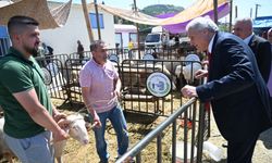 Başkan Bakkalcıoğlu, Kurban Pazarı'nı ziyaret etti!