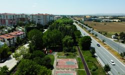 Eskişehir'in yeşil alanda öncü belediyesi!