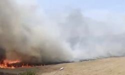 OSB’de kuru ot yangını korkuttu