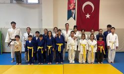 Hırsları ile alkış topluyorlar