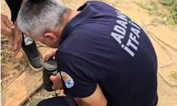 Yavru kediyi su borusundan kurtardılar