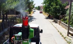Eskişehir'de kene riskine karşı önemli çalışma!