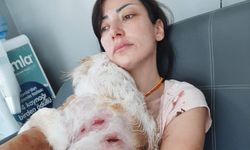 Kangal köpekler genç kadın ve köpeğine saldırdı