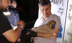 Eskişehir'de sesini duyan yanına koştu, ekipler kurtardı!