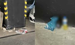 Bilecik otoparkındaki görüntü utandırdı!