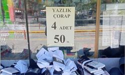 Eskişehir'de yazlık ürünler tezgahlarda yerini aldı