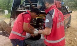 Sakarya ve Bilecik’teki orman yangınına Eskişehir’den UMKE desteği