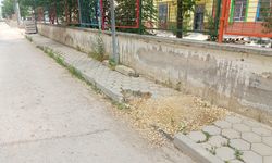 Eskişehir'de kaldırımlar tehlike saçıyor