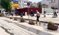 Eskişehir'de çiçeklere bakım yapılıyor