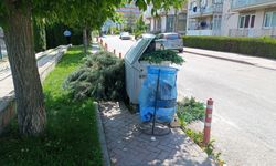 Eskişehir'deki budama çalışması yayalara zorluk yaşattı