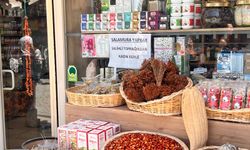 Eskişehir'de salamura yaprak satışları başladı