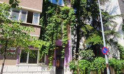 Eskişehir'deki o evi gören bir daha bakıyor