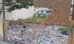 Eskişehir'in göbeğinde halk sağlığını tehdit eden tehlike