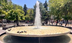Eskişehir sıcağından bunaldılar, havuzda serinlediler!