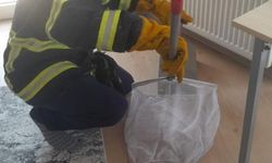 Evde yarasa paniği: İtfaiye yardım etti!