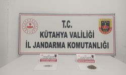 Kütahya'da ekipler zehir satıcılarına geçit vermiyor!