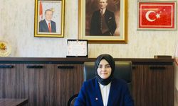 Orman yangını zararları için askı listeleri ilan edildi