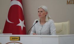 Bilecik'in o mahallesine doğalgaz talebi meclis gündeminde!
