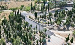Bilecik’te şehitlik yolu yenilendi