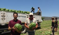 Osmaneli karpuzunda emek üreticinin, kazanç aracının