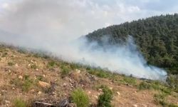 Bilecik’te aynı bölgede ikinci yangın: Sabotaj şüphesi