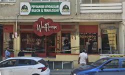 Bilecik'teki mağazadaki kavgada tutuklu sayısı 5'e çıktı!