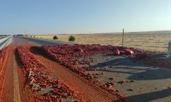 Emirdağ'daki kazada tonlarca biber yola saçıldı