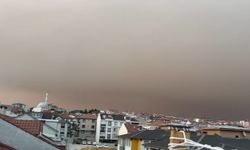 Yangın külü Bursa’ya yağdı: Araçlar ve evler griye büründü!
