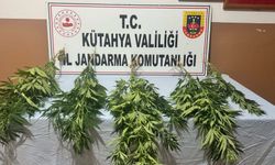 Kütahya’da zehir operasyonu!